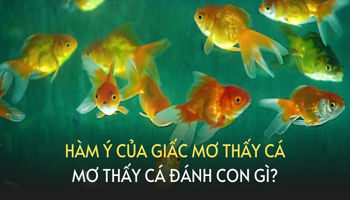Mơ thấy cá màu vàng